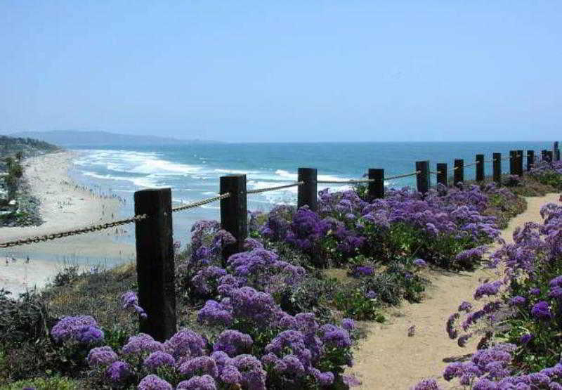Residence Inn San Diego Del Mar Exteriér fotografie